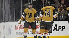 Tomá� Hertl oslavuje trefu do sít� Columbusu.