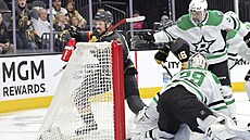 Tomá� Hertl se prosazuje v utkání s Dallasem.