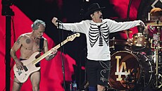 Red Hot Chili Peppers na koncert� FireAid