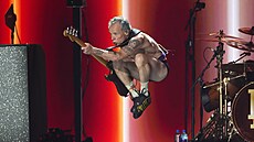 Red Hot Chili Peppers na koncert� FireAid