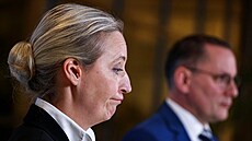 Kandidátka na kancléku za Alternativu pro Nmecko (AfD) Alice Weidelová (31....