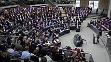 Nmecký Bundestag.  (31. ledna 2025)