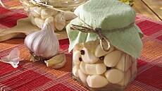 Nakl�dan� �esnek