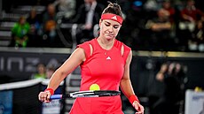 Karolína Muchová na turnaji v Linci.