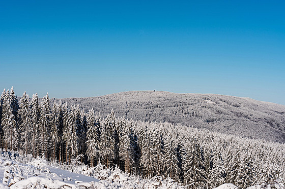Bor�vková hora na hlavním h�ebeni Rychlebských hor