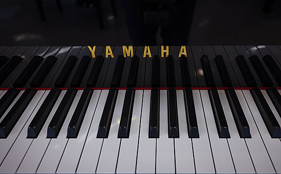 ilustra�ní snímek