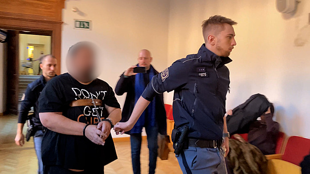Za vraždu ženy a pokus o zabití syna dostal 19 let, schizofrenii jen simuloval