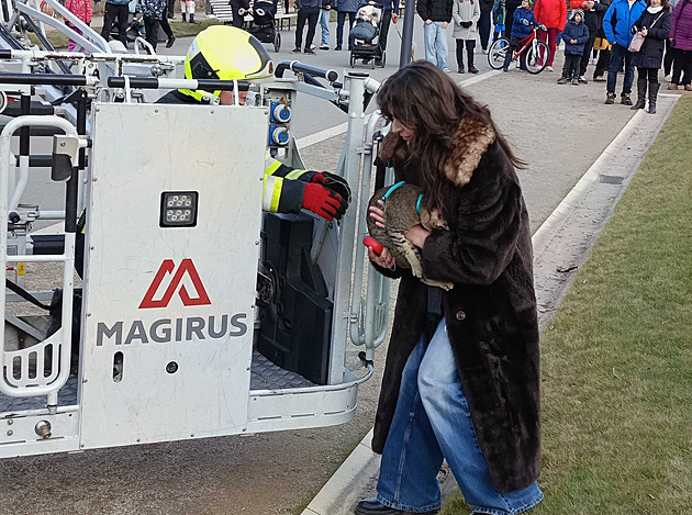 Pratí hasii zachraovali kot ze stromu. (8. února 2025)