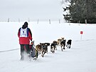 V Jizersk�ch hor�ch se konaj� z�vody ps�ch sp�e�en�. (1. �nora 2025)