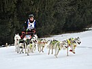 V Jizersk�ch hor�ch se konaj� z�vody ps�ch sp�e�en�. (1. �nora 2025)