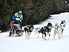 V Jizersk�ch hor�ch se konaj� z�vody ps�ch sp�e�en�. (1. �nora 2025)