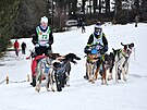 V Jizersk�ch hor�ch se konaj� z�vody ps�ch sp�e�en�. (1. �nora 2025)