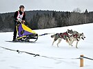 V Jizersk�ch hor�ch se konaj� z�vody ps�ch sp�e�en�. (1. �nora 2025)