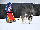 V Jizersk�ch hor�ch se konaj� z�vody ps�ch sp�e�en�. (1. �nora 2025)