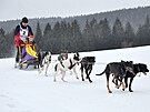 V Jizersk�ch hor�ch se konaj� z�vody ps�ch sp�e�en�. (1. �nora 2025)
