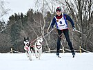 V Jizersk�ch hor�ch se konaj� z�vody ps�ch sp�e�en�. (1. �nora 2025)