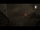Kingdom Come: Deliverance 2