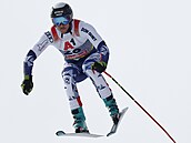 Jan Zabystan bhem sjezdu na mistrovství svta