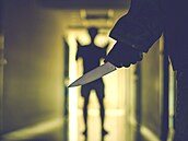 ilustra�ní snímek