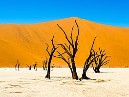 Sociální sí� TikTok za�íná stále více ovliv�ovat destinace, do kterých...