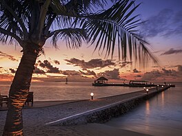 Tropický ráj Malediv poskytuje ideální kulisy pro pozorování nezapomenutelných...