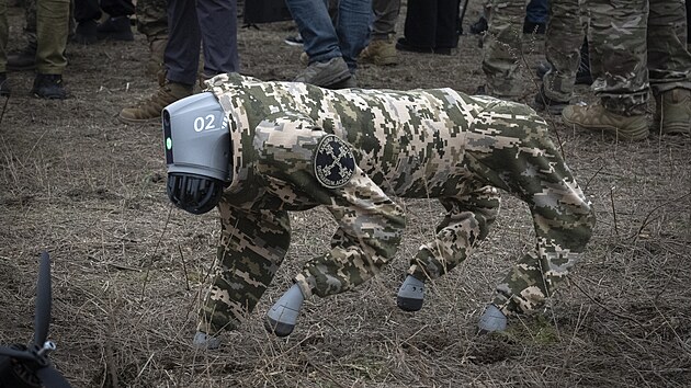 Pes-robot se pohybuje na vojenskm triti na Ukrajin. (29. ledna 2025)