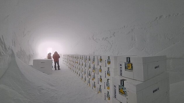 V�dci se v Antarktid� propracovali k jednomu z nejstar��ch led� na Zemi. Jeho st��� je 1,2 milionu let. 