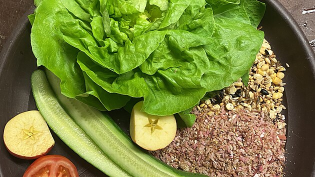 Krmivo pro zv��ata v zoo Olomouc