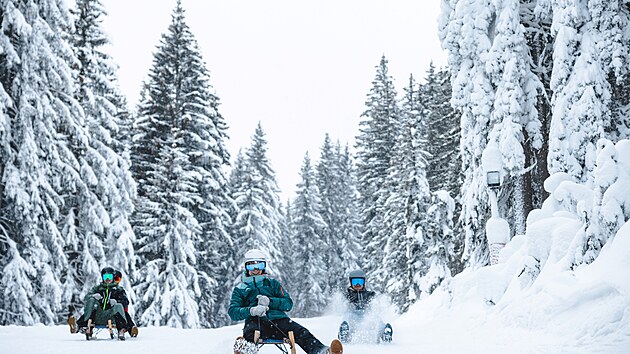 S��kov�n� ve Schladming-Dachstein
