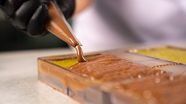 Dubajsk� �okol�da se st�v� hitem. (2. �nora 2025)