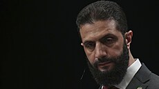 Ankara. Syrský prezident Ahmad �ara b�hem spole�né tiskové konference s...