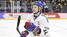 Filip Chlapík se raduje z gólu proti �védsku.