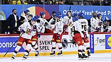 �e�tí hokejisté se v utkání proti �védsku radují z gólu Jakuba Zbo�ila.