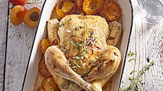 Pe�ené ku�e s meru�kami