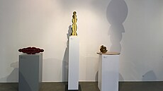 V pra�ském Museu Kampa za�íná výstava Barvy v prostoru socha�e a...