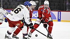 Lubo� Horký bojuje o puk v utkání se �výcarskem.