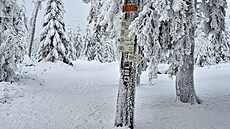 Stoupání na h�eben Rychlebských hor �asem nabere solidní sklon. Teprve...