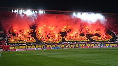 Choreo slávistických fanouk