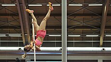 Amálie �vábíková si na Czech Indoor Gala v Ostrav� vylep�ila sezonní maximum.