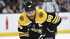 eský hokejista David Pastrák na vhazování v utkání s Minnesotou.