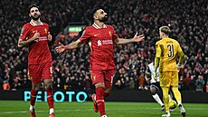 Mohamed Salah se raduje z promnné penalty proti Tottenhamu.