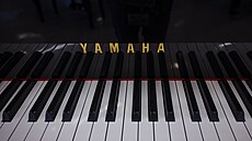 Klaviatura pianina japonské zna�ky Yamaha (25. �íjna 2022)