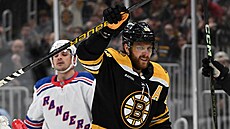 Úto�ník Bostonu David Pastr�ák se raduje ze vst�elené branky v zápase proti New...