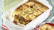 �emlovka s houbami