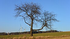 Vtrné elektrárny u Anenské Studánky byly zprovoznny v roce 2006 a 2008. Po...