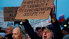 Slováci opt vyli do ulic na shromádní za proevropské smování zem. V...