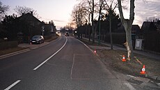 �idi� v �ernilov� narazil do stromu. (�. února 2025)