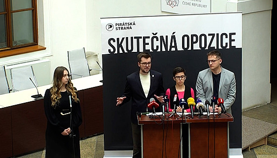 Pirátská strana