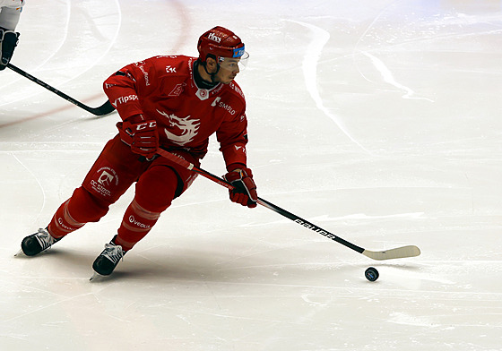 David Cienciala s pukem na holi.