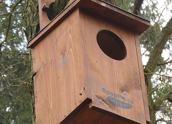 V lesích Pelh�imovska se za�aly objevovat nové pta�í budky. P�edseda spolku...